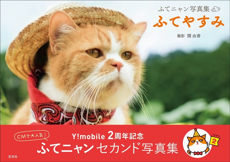 CMで大人気「ふてニャン」2nd写真集　この猫、ふてぶてしいけど愛くるしい！