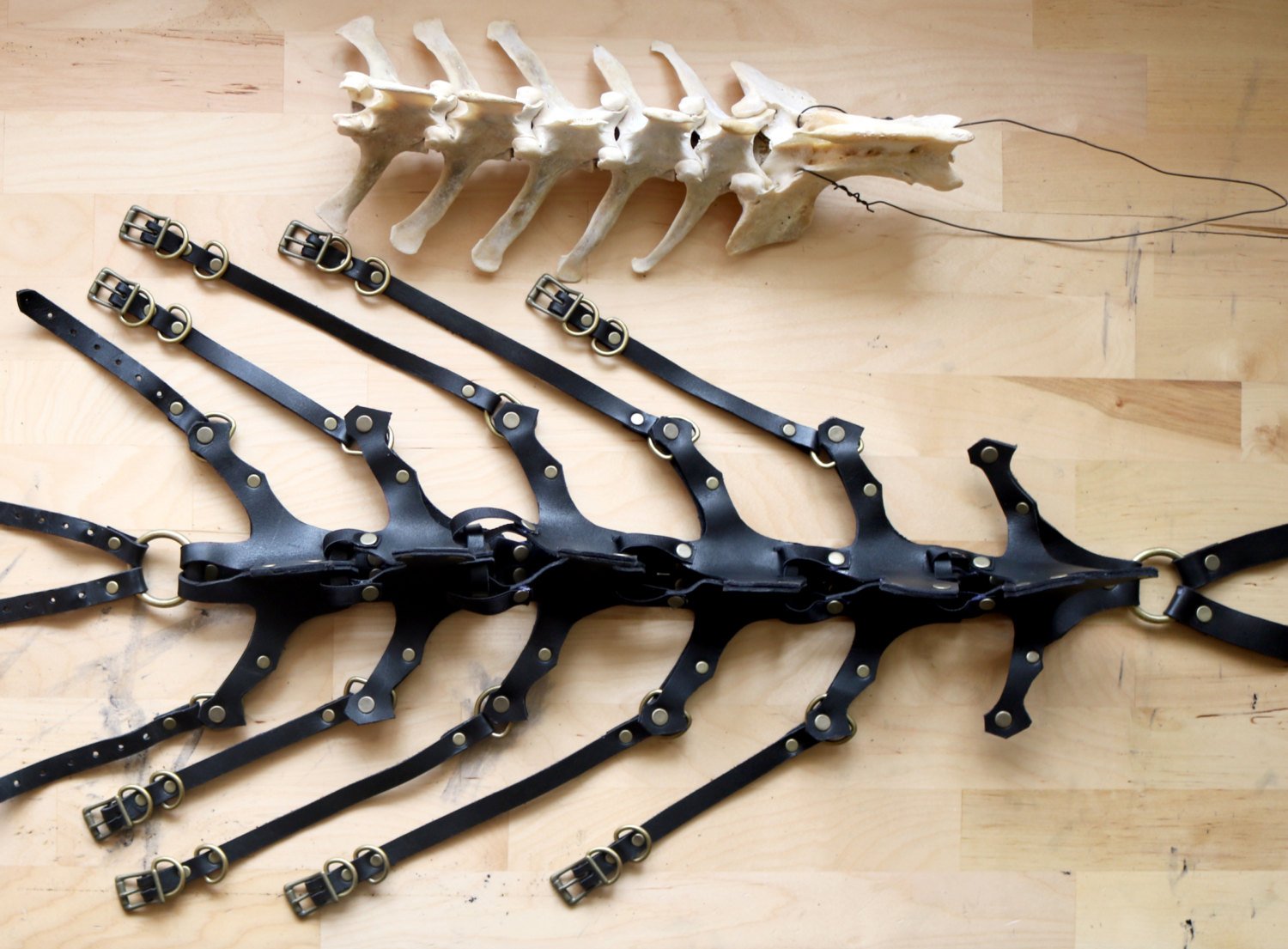 「Exoskeleton Spinal Cord Full Body Harness」1