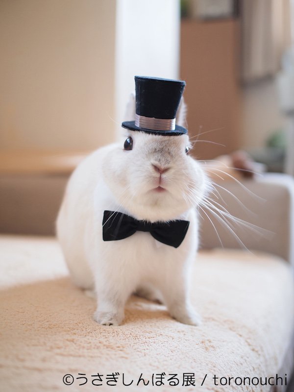 「うさぎしんぼる展」 6