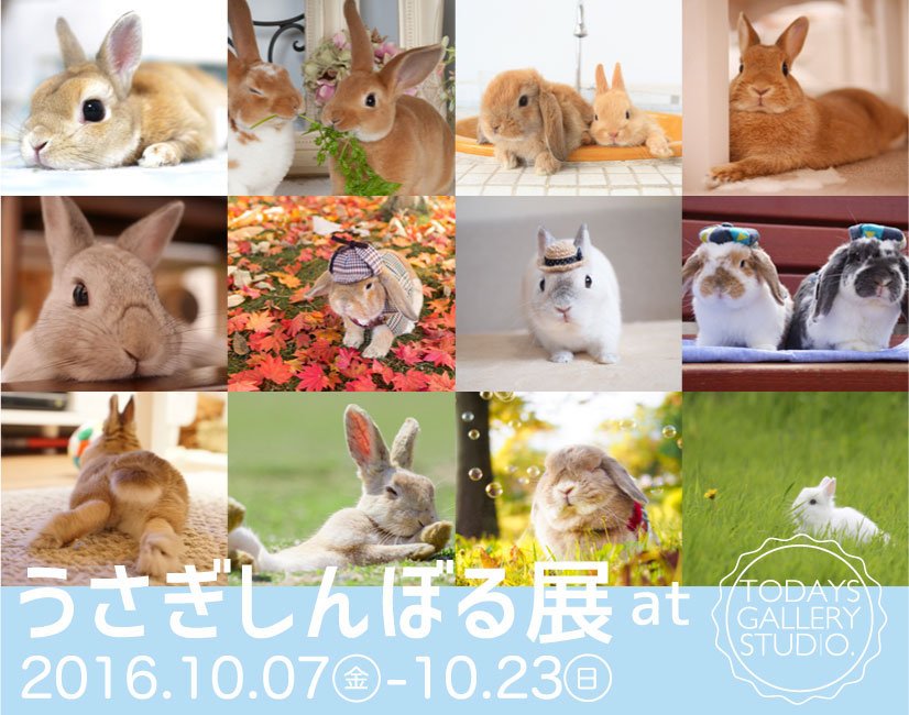 「うさぎしんぼる展」 2