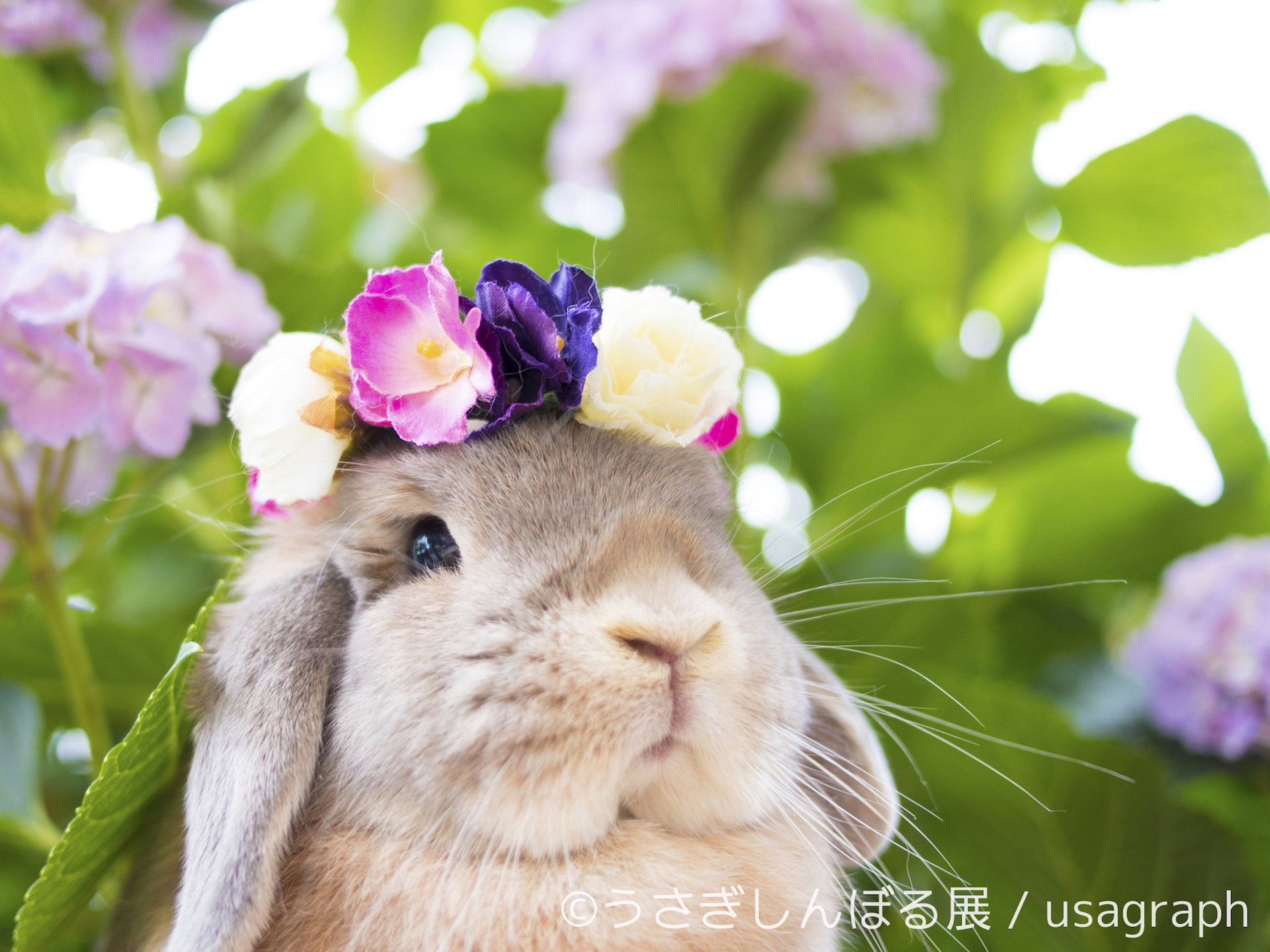 「うさぎしんぼる展」 5