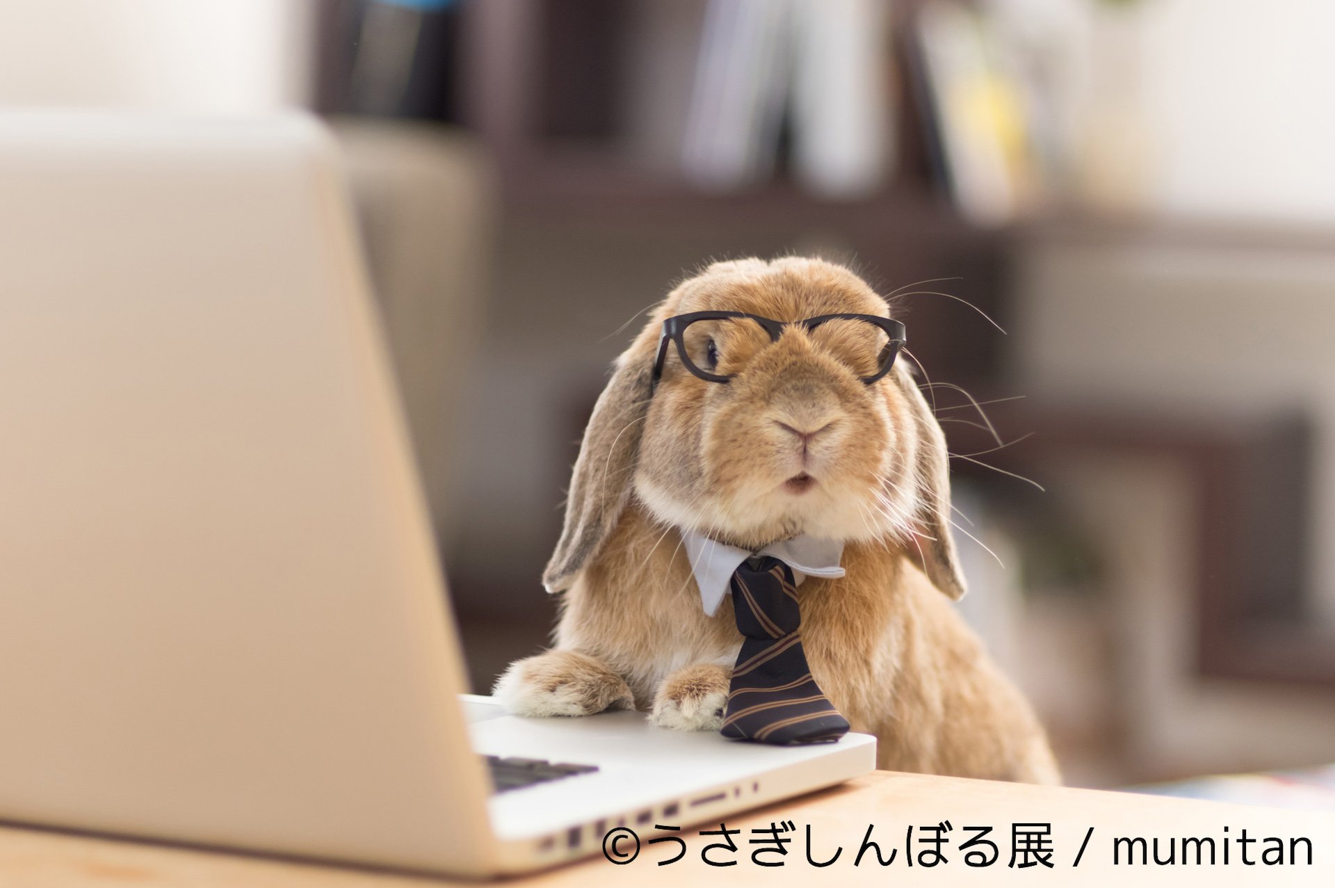 「うさぎしんぼる展」 4