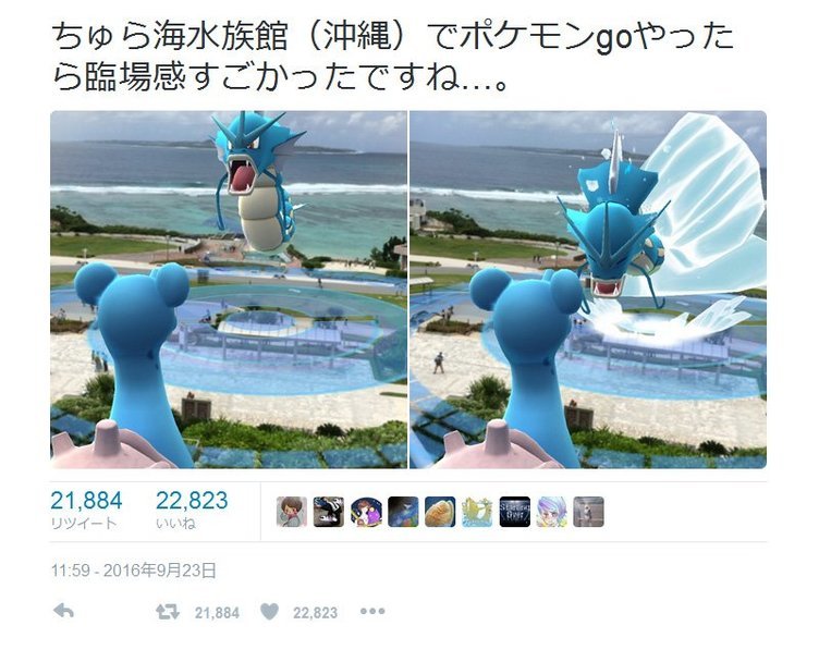 臨場感すごかったですね 沖縄美ら海水族館でのポケモンgoプレイ画面が Twitter で話題に Kai You Net