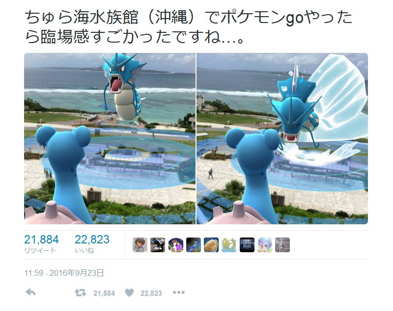 臨場感すごかったですね 沖縄美ら海水族館でのポケモンgoプレイ画面が Twitter で話題にの画像 Kai You Net