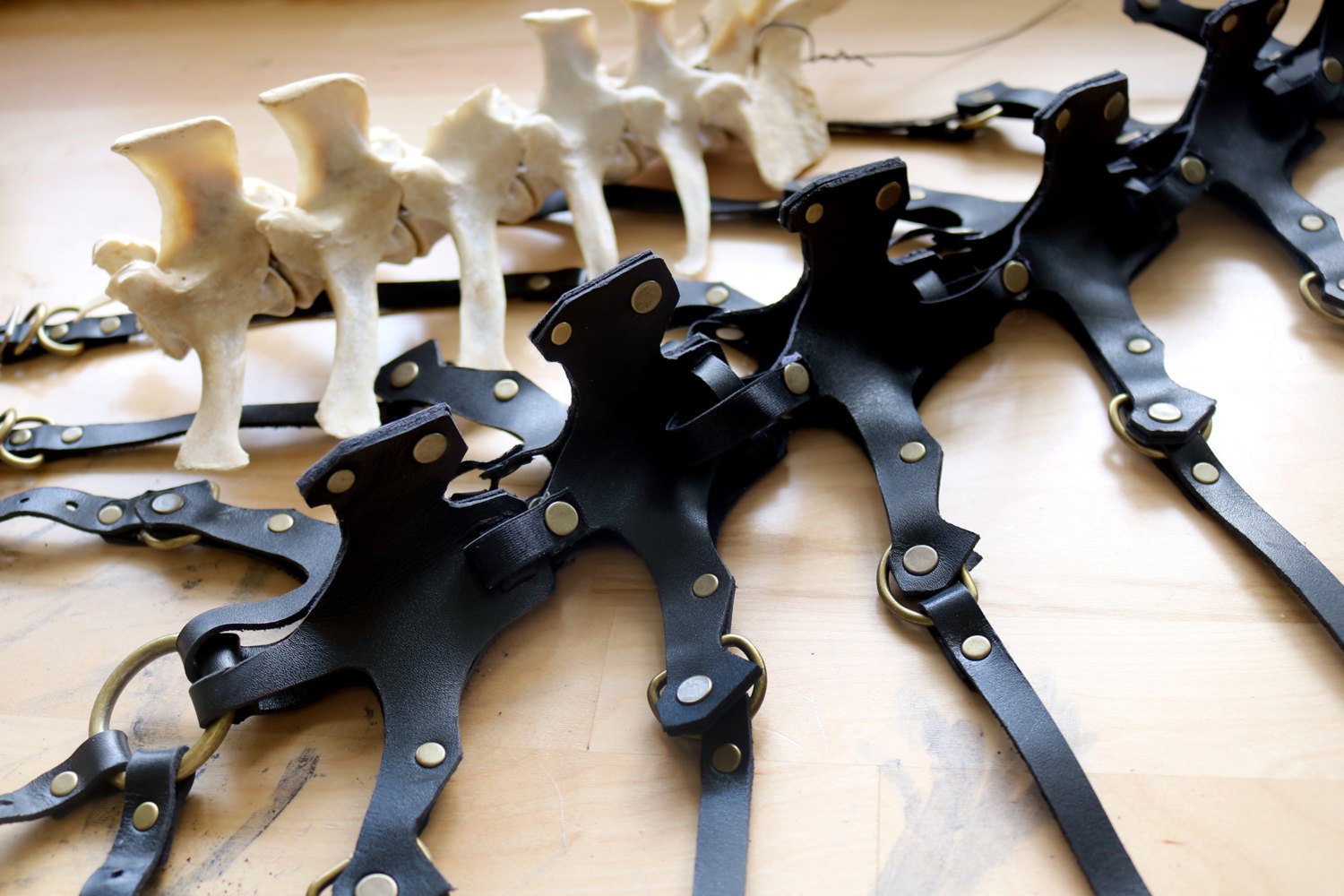 「Exoskeleton Spinal Cord Full Body Harness」2