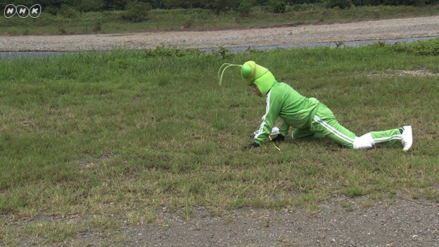 「香川照之の昆虫すごいぜ！」3