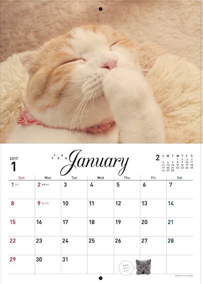 2017年スターねこカレンダー