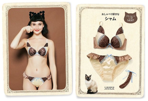 「ときめきいっぱい なりきりにゃんこ 猫好きガールの愛され胸 ブラ&ショーツの会」2