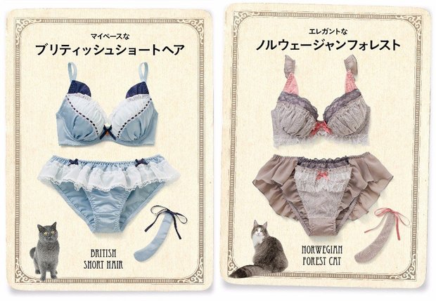 「ときめきいっぱい なりきりにゃんこ 猫好きガールの愛され胸 ブラ&ショーツの会」3