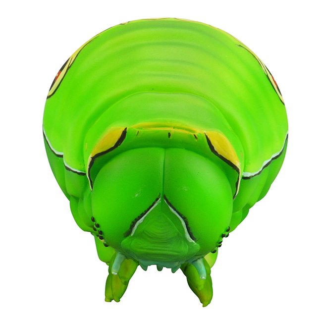 ソフビトイボックス007　イモムシ（ナミアゲハ 5令幼虫）／画像はユニオンクリエイティブWebサイトより 4