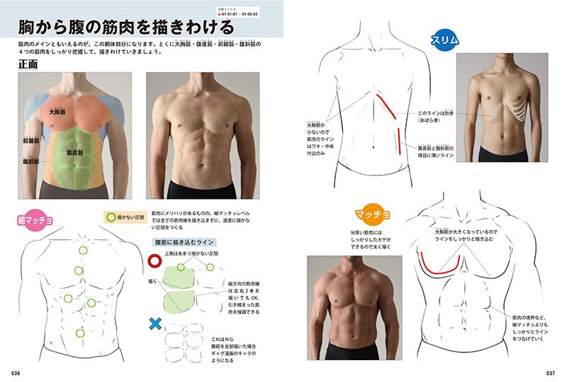 左 男の筋肉 描きわけポーズ集 右 萌え ふたりの描き方 男子編 の画像 Kai You Net