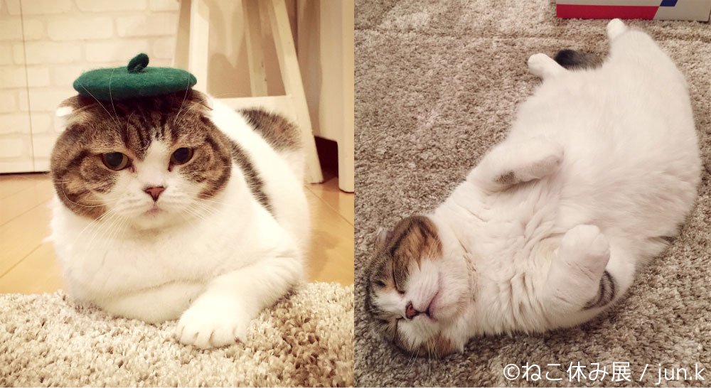 「ねこ休み展」4
