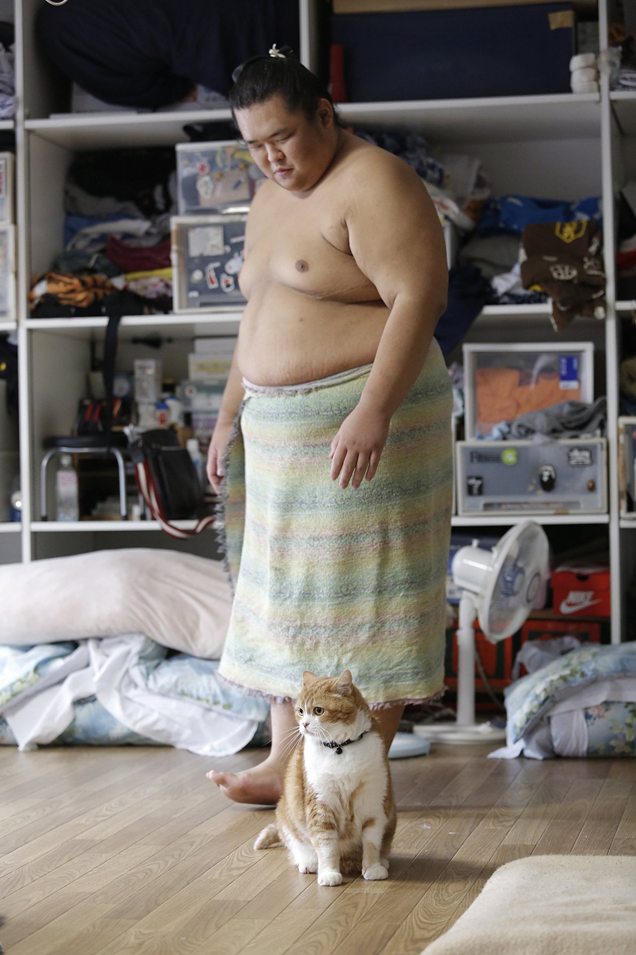 『相撲部屋の幸せな猫たち』7