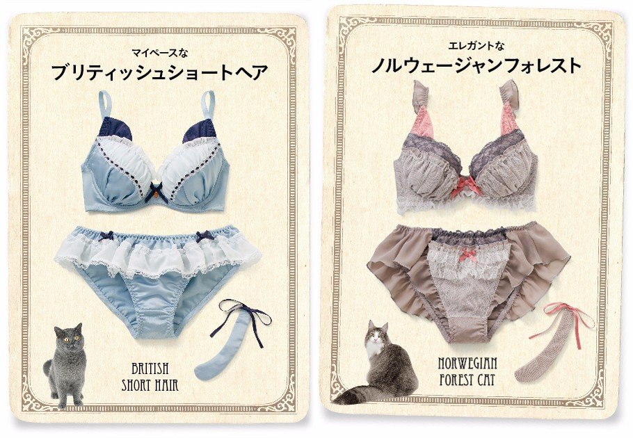 「ときめきいっぱい なりきりにゃんこ 猫好きガールの愛され胸 ブラ＆ショーツの会」3