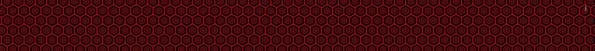 セット販売される帯（表）