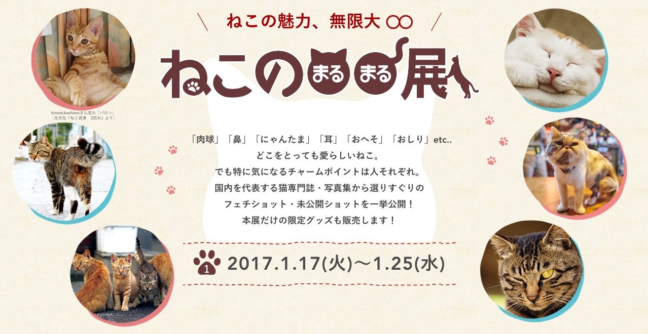 画像はすべて「ねこの〇〇展」Webサイトより