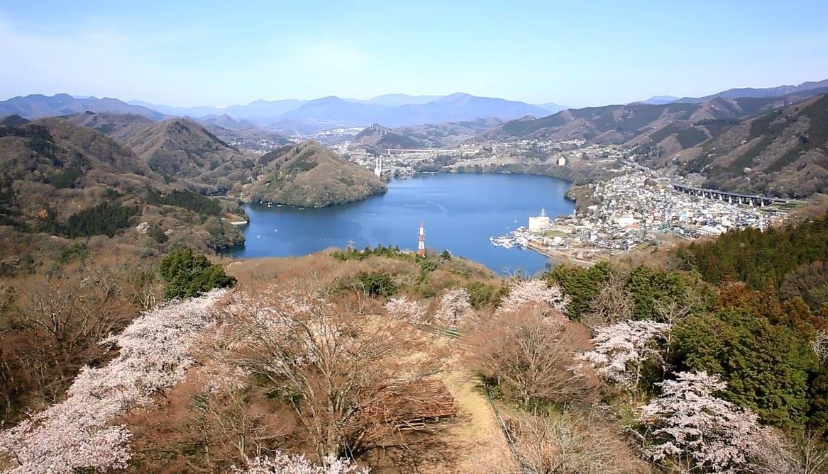 「マッスルモンスター」最上階部分からの眺め ※ドローンで撮影