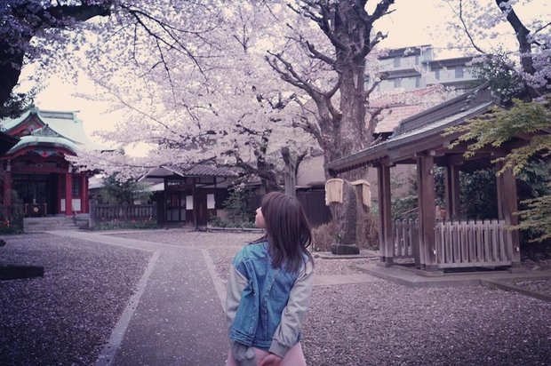 戸田真琴