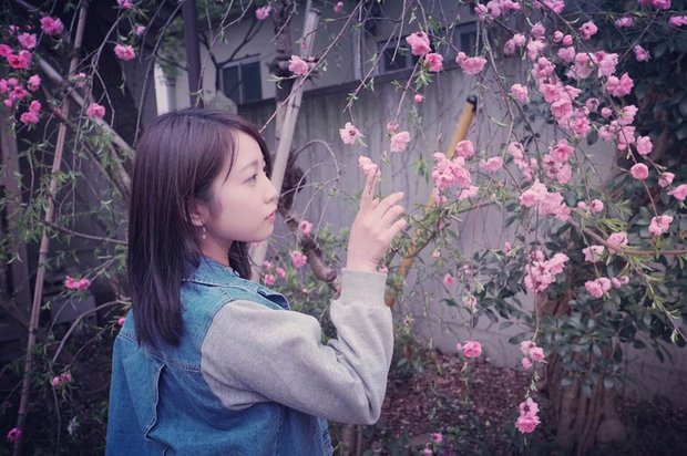 戸田真琴