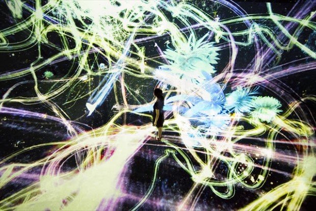 追われるカラス、追うカラスも追われるカラス、そして衝突して咲いていく :