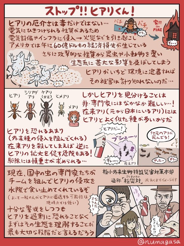 ヒアリ