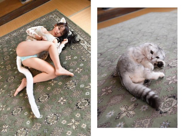 写真集『もしもうちの猫がかわいい女の子になったら』