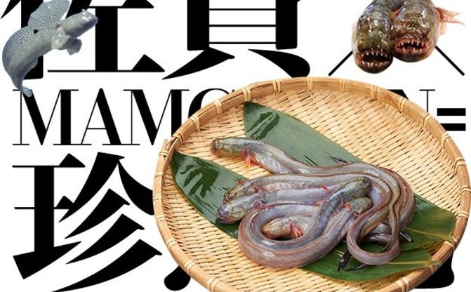 佐賀県にまた異変 グロテスクな珍魚が並ぶティザーサイト公開 Kai You Net