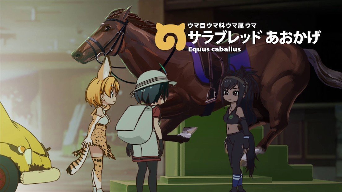 ウマのフレンズ