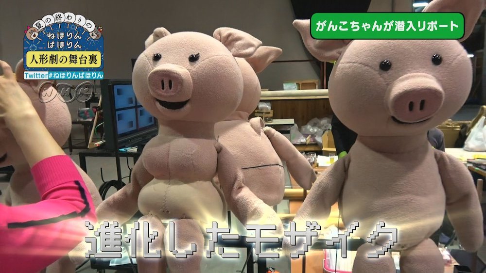 ねほりんぱほりん