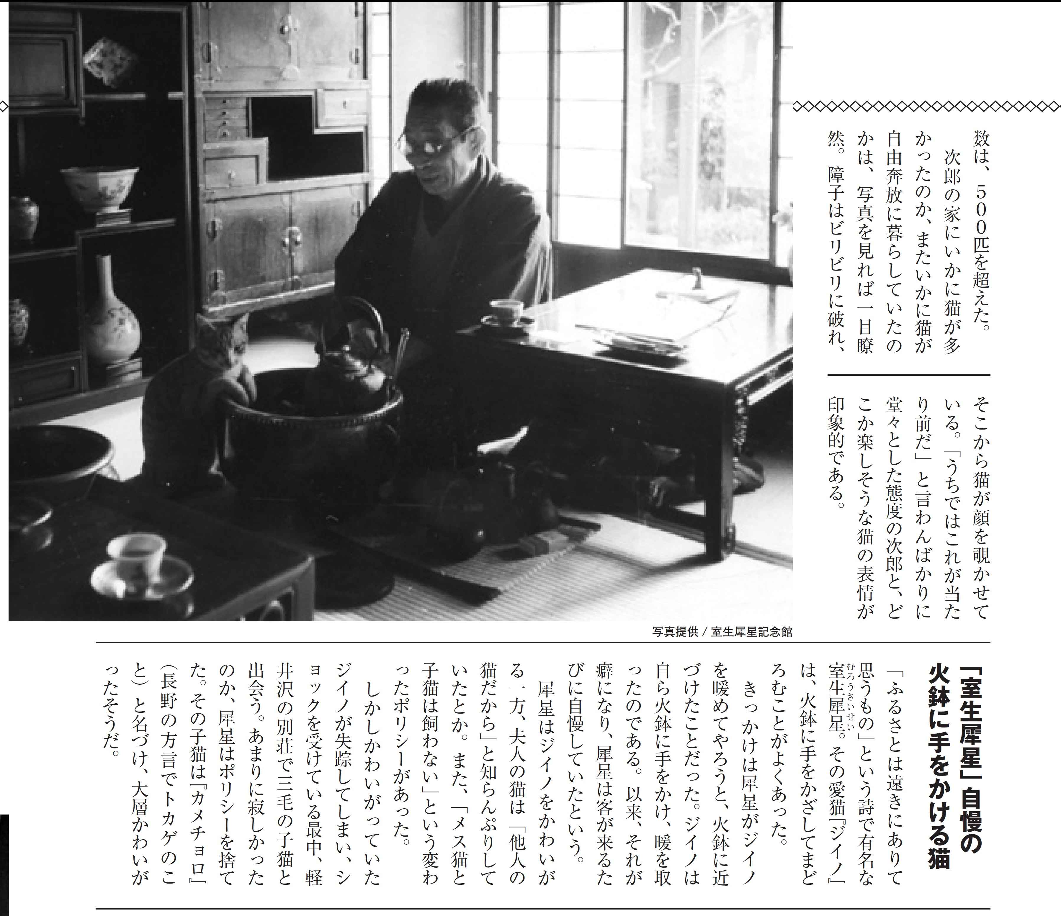 『週ニャン大衆』