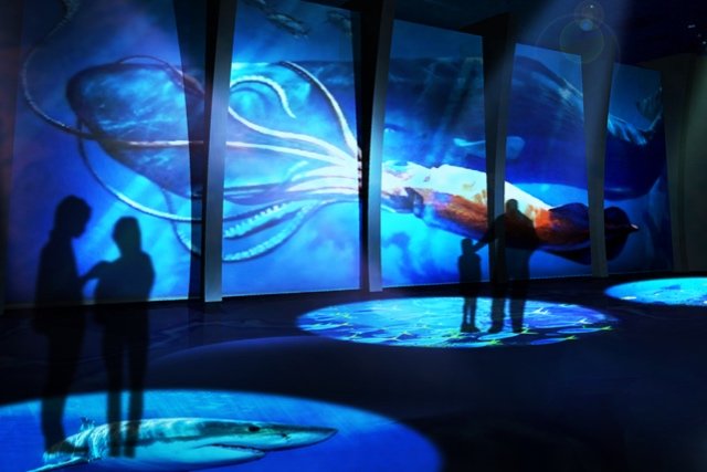 DMMかりゆし水族館（仮称）