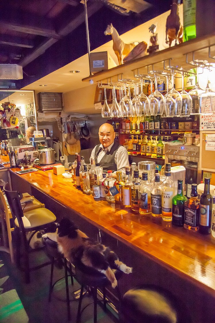 『週ニャン大衆』