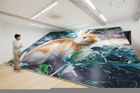 山田周平『OCCUPY』2012年 Inkjet print, wood,