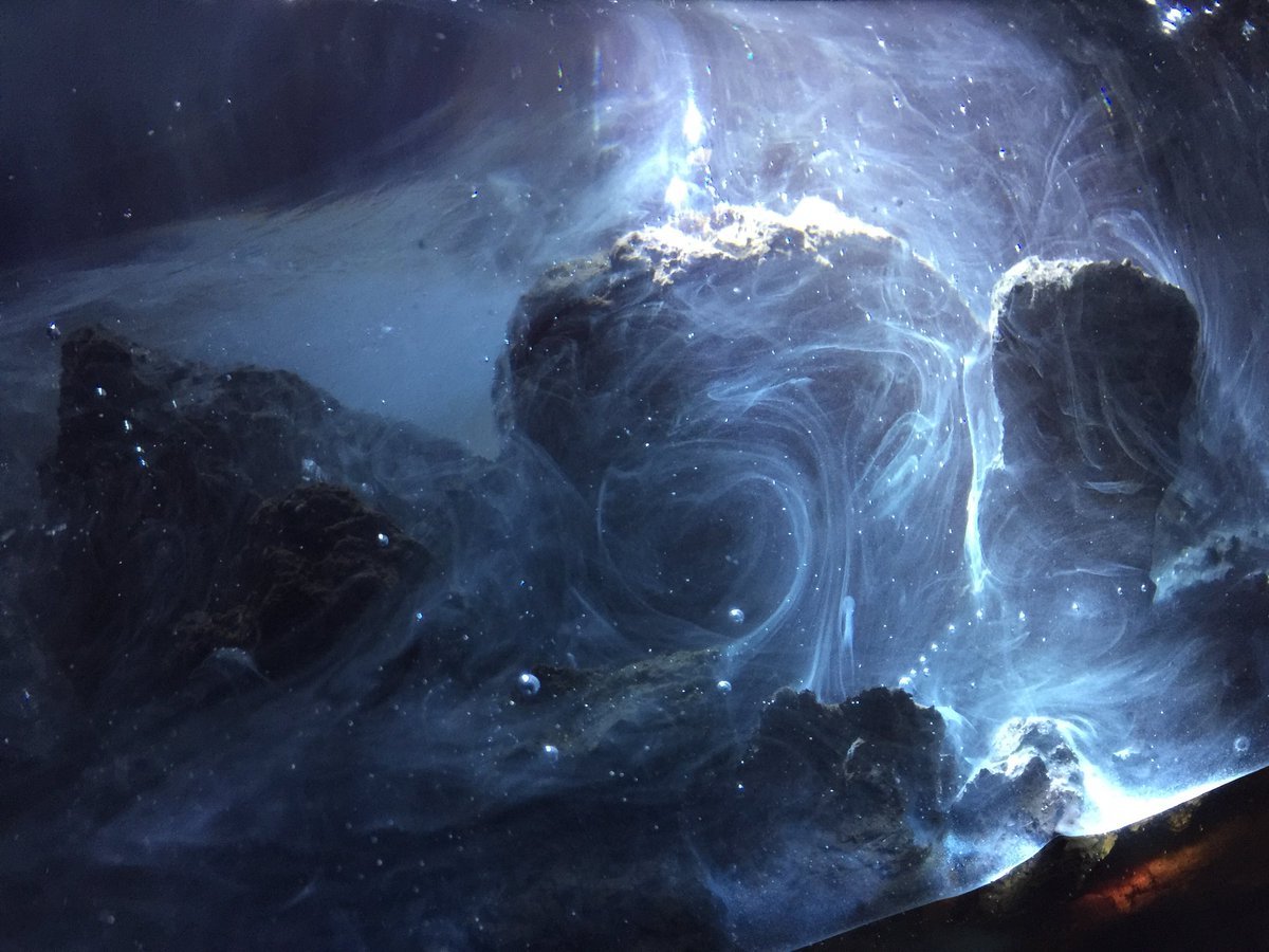 山田勇魚「樹脂クジラ」