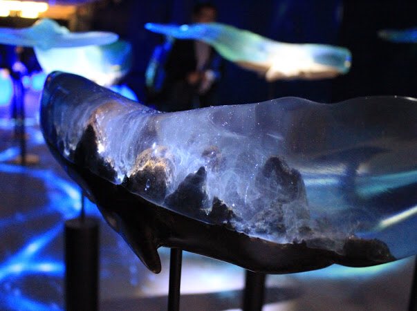 山田勇魚「樹脂クジラ」