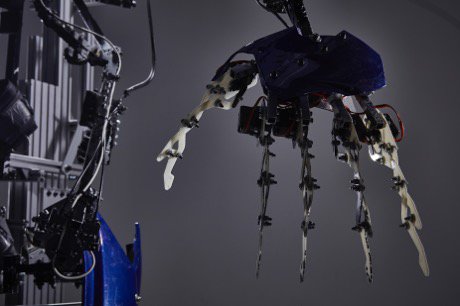 スケルトニクス