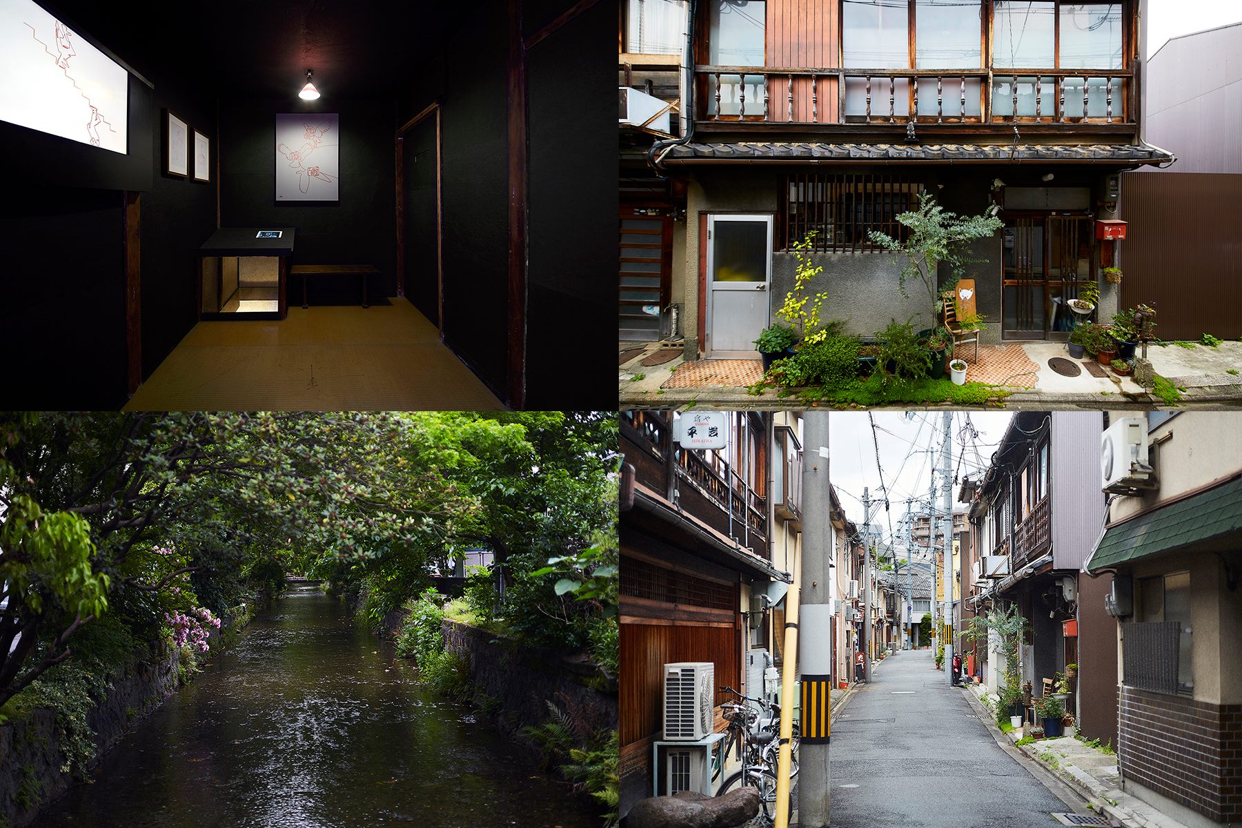 Gojo Short Animation Gallery