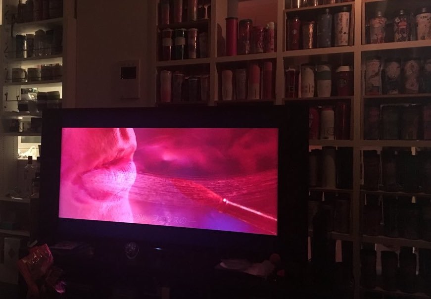 ミクニがタワーマンションのパーティに潜入した回