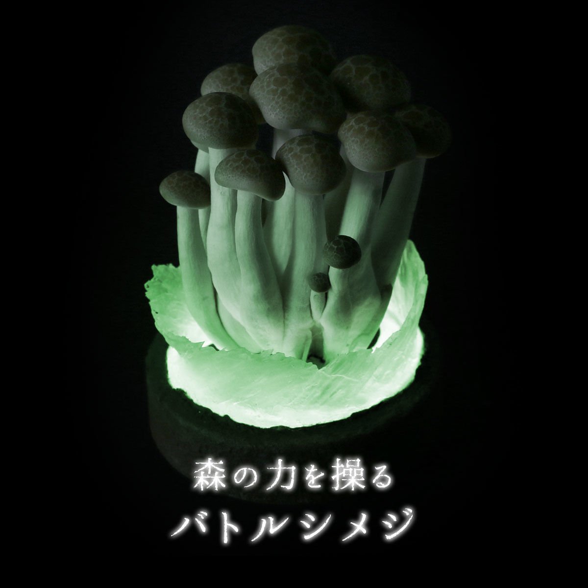 森の力を操るバトルシメジ