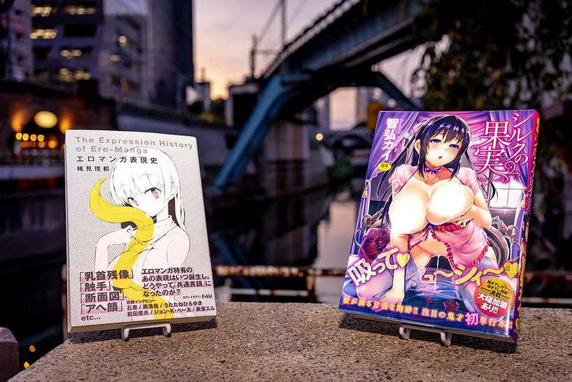 『エロマンガ表現史』/稀見理都(左)、『シルクの果実』/智弘カイ(右)