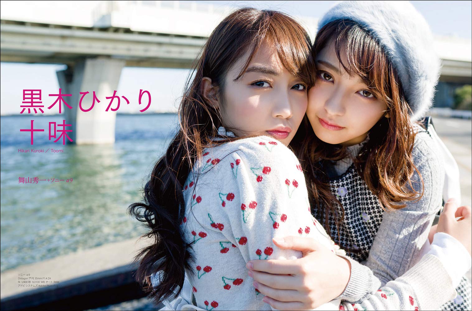 『フォトテクニックデジタル 2019年 1月号』