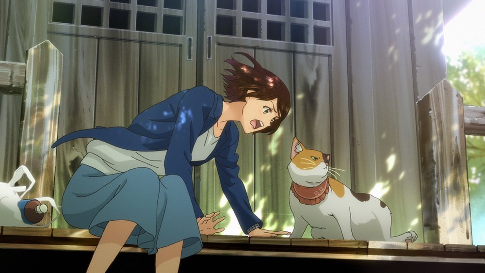 猫がくれたまぁるいしあわせ
