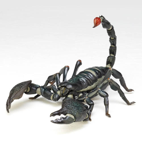 『リボジオ ダイオウサソリ』／画像は海洋堂オンラインストアより