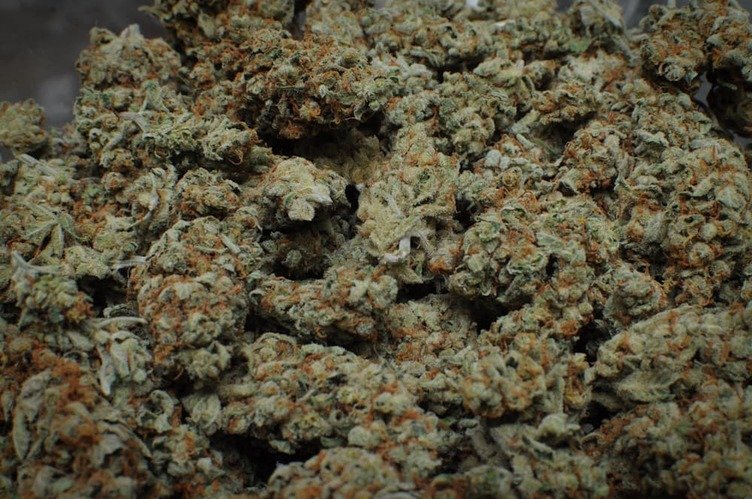 5500915693_47fce0b00b_b-1