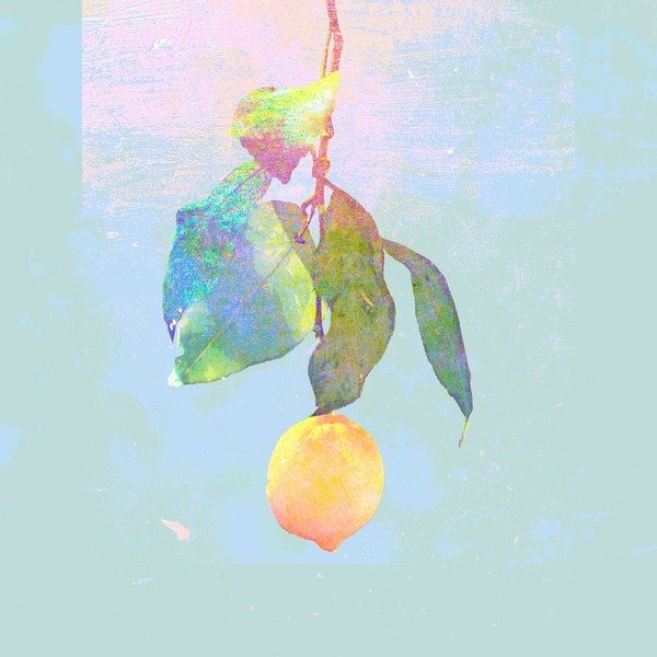 Lemon_H1-2-2