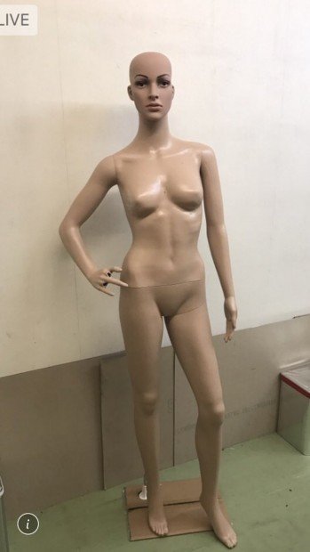 マネキン製ベラの制作過程_1