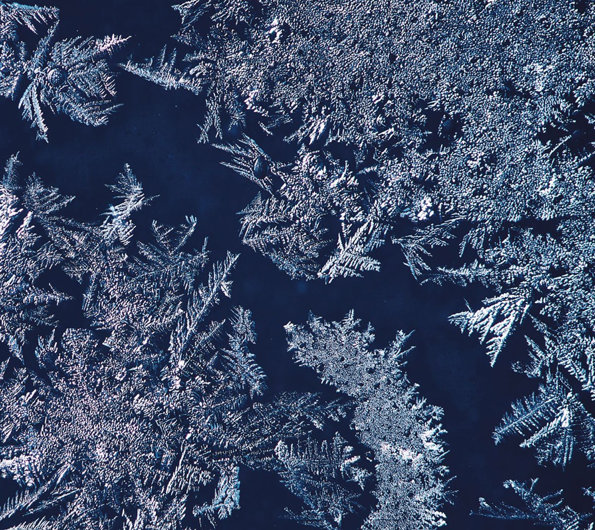 TBHR-CD-030_THA-BLUE-HERB（4CD生産限定盤）_S(1)