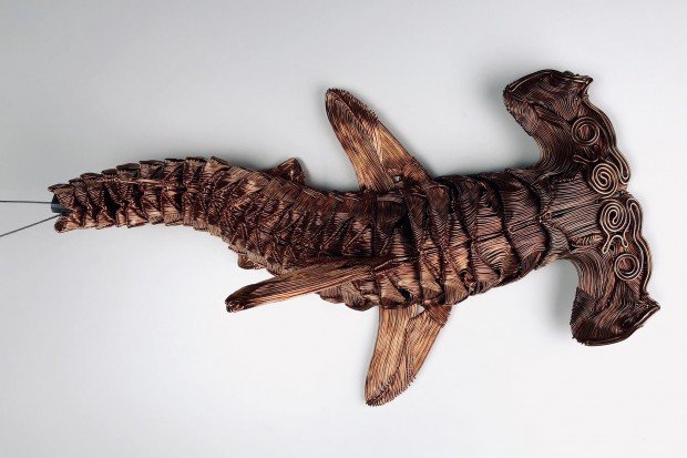 針金シュモクザメ（3）