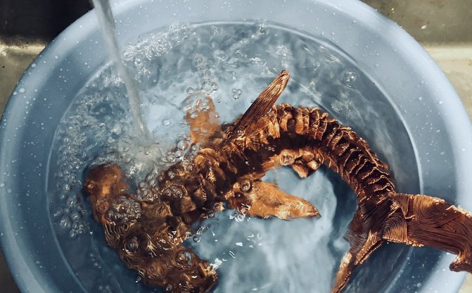 針金造形という深世界 動物も エヴァ も再現する凄い技術 トピックス Kai You Net