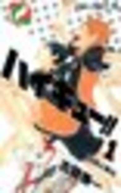 『ハイキュー!!』第1巻／画像は<a href="https://amazon.co.jp/o/ASIN/4088704533/kaiyou01-22/ref=nosim" target="_blank">Amazon</a>より